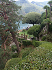 P8207696a.jpg